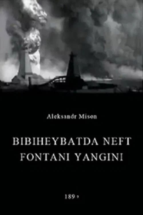 Bibiheybətdə neft fontanı yanğını (1899) movie poster