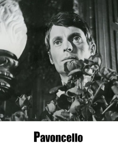 ملصق فيلم Pavoncello (1967)