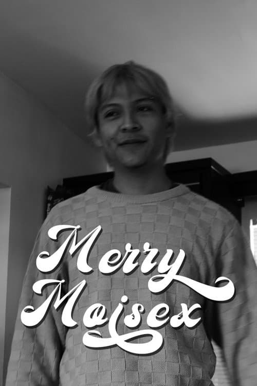 Affiche du film Merry Moisex (2024)