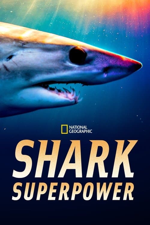 Affiche du film Shark Superpower (2022)