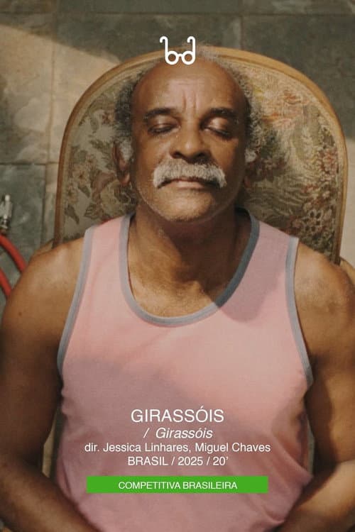 Affiche du film Girassóis (2025)