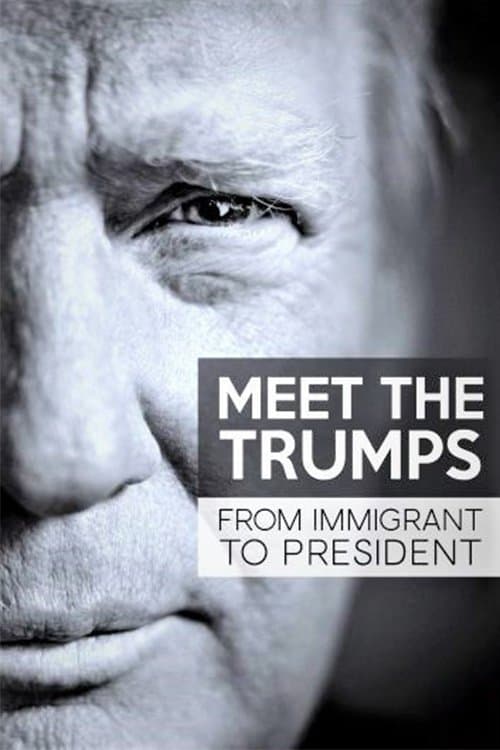 ملصق فيلم Meet the Trumps: From Immigrant to President (2017)