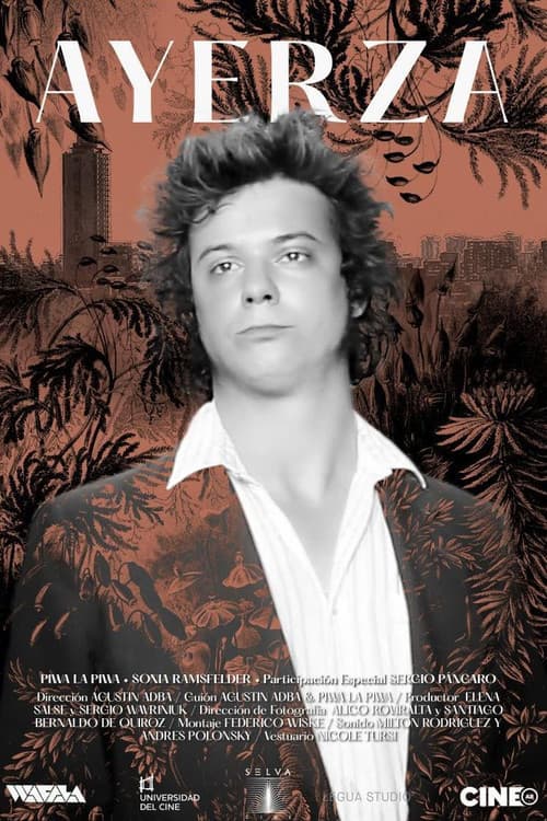 Affiche du film Ayerza (2013)
