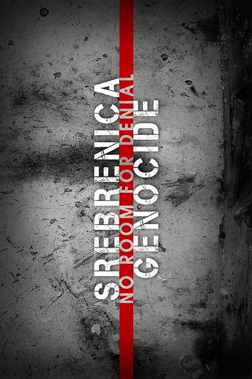 Srebrenica Genocide: No Room for Denial (2017) movie poster