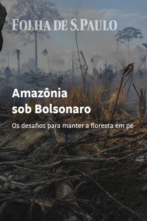Amazônia sob Bolsonaro (2020) movie poster