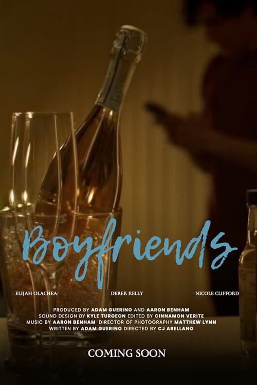 ملصق فيلم Boyfriends (2024)