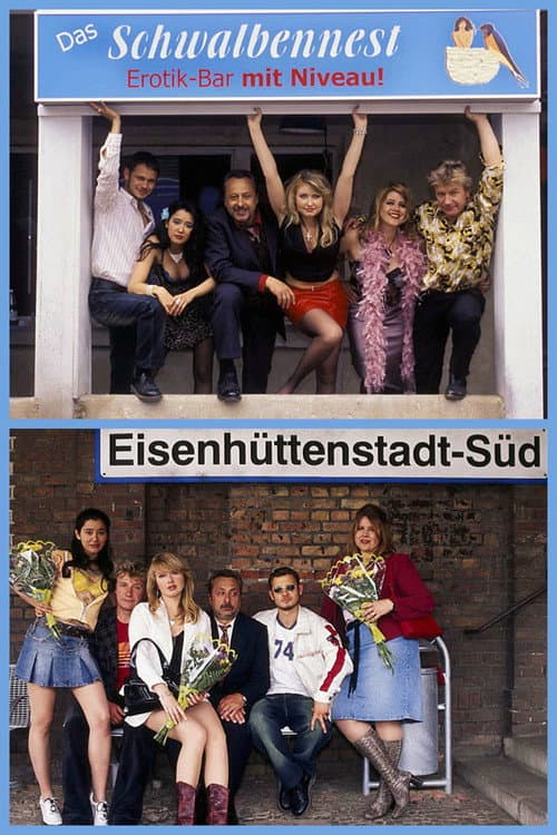 Das Schwalbennest (2004) movie poster