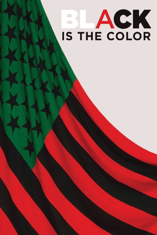 ملصق فيلم Black Is the Color: African-American Artists and Segregation (2016)