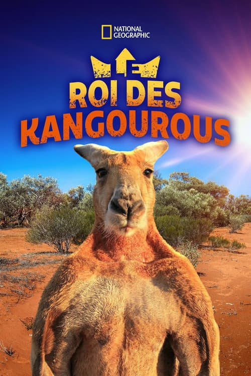 Affiche du film The Kangaroo King (2015)