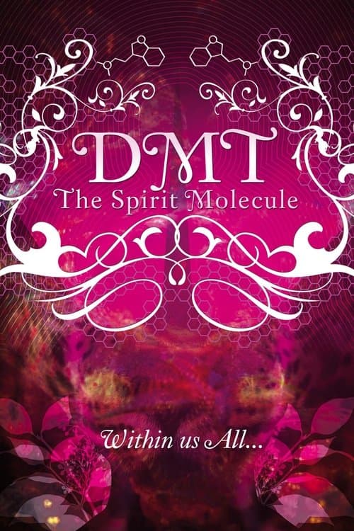Affiche du film DMT: The Spirit Molecule (2010)