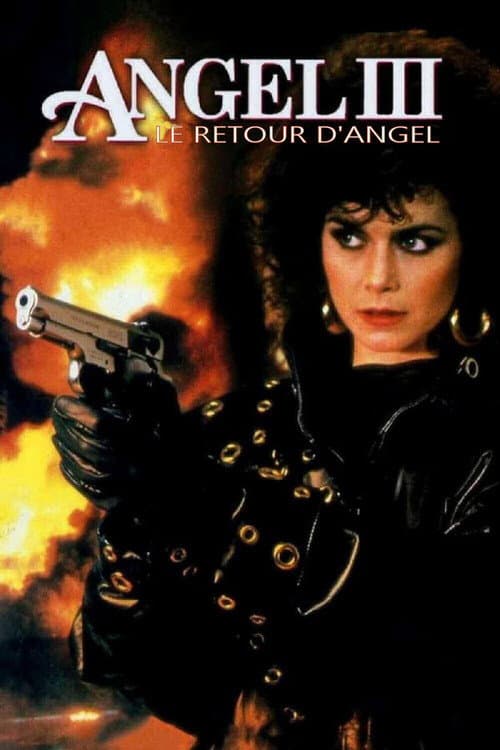 Affiche du film Angel III: The Final Chapter (1988)