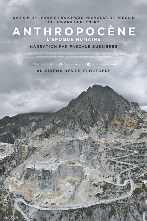 Affiche du film Anthropocene: The Human Epoch (2018)