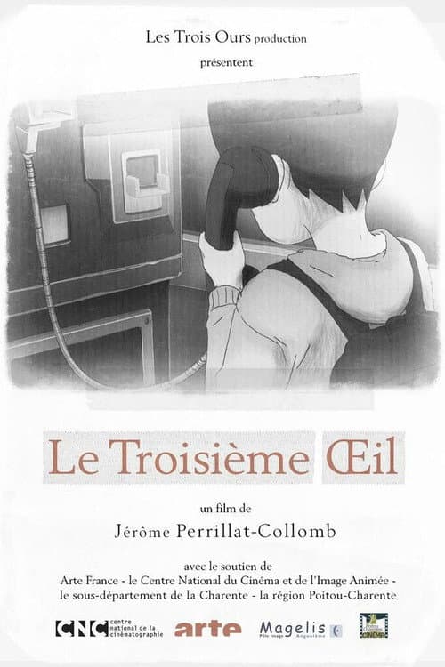 Affiche du film Le troisième œil (2014)