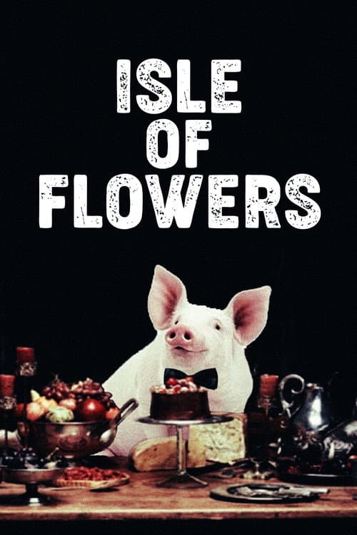Ilha das Flores (1989) movie poster