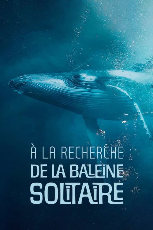 Affiche du film The Loneliest Whale: The Search for 52 (2021)