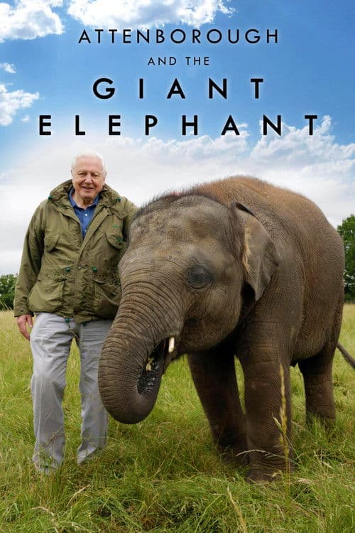 ملصق فيلم Attenborough and the Giant Elephant (2017)