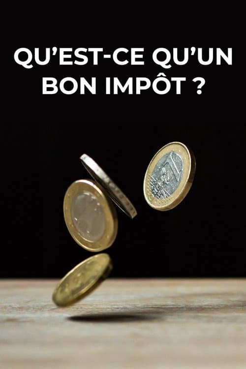 Affiche du film Qu'est-ce qu'un bon impôt ? (2019)
