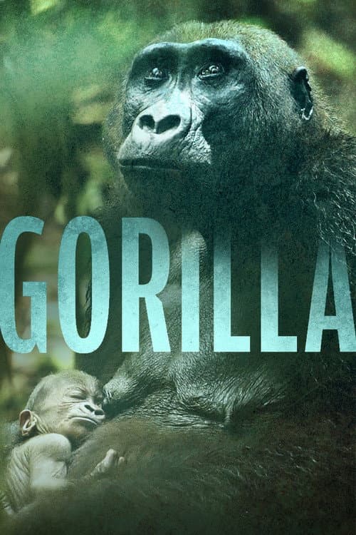 Gorilla (2024) movie poster