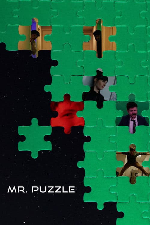 Affiche du film Mr. Puzzle (2026)