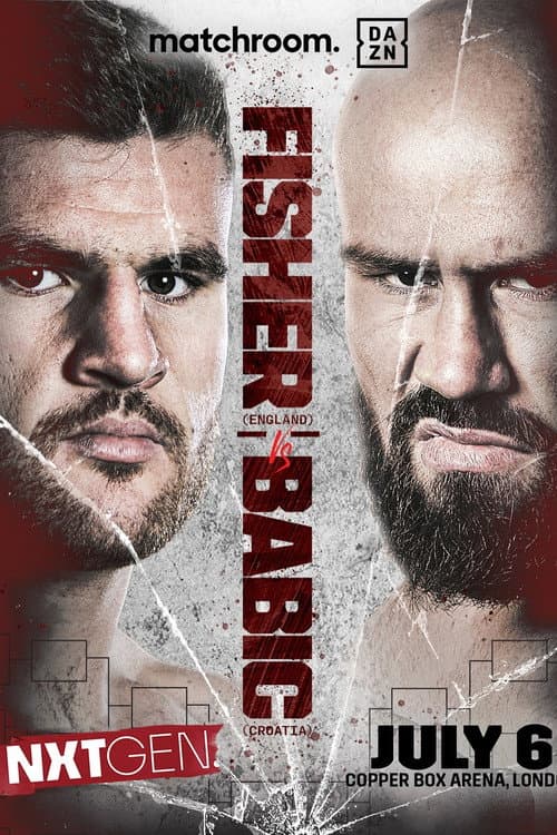 Johnny Fisher vs. Alen Babic (2024) movie poster