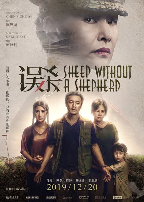 Affiche du film 误杀 (2019)