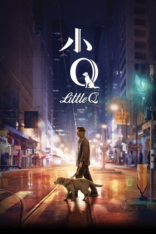 Affiche du film 小Q (2019)