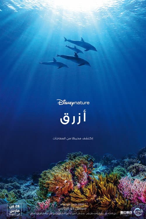 ملصق فيلم Dolphin Reef (2018)