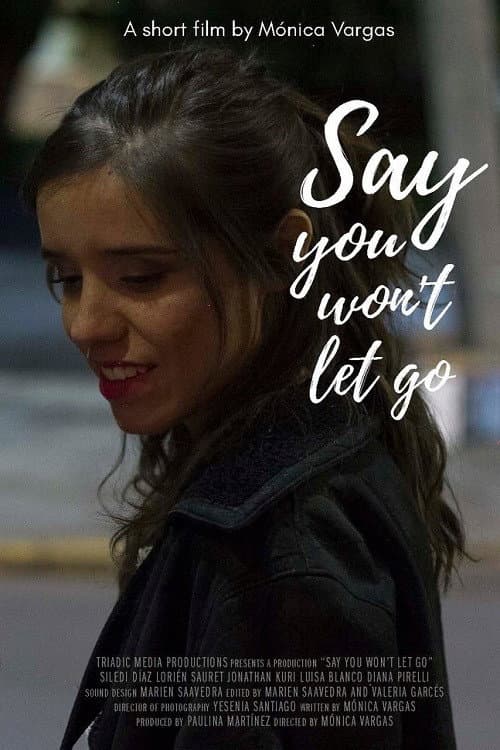 Say You Won't Let Go movie poster