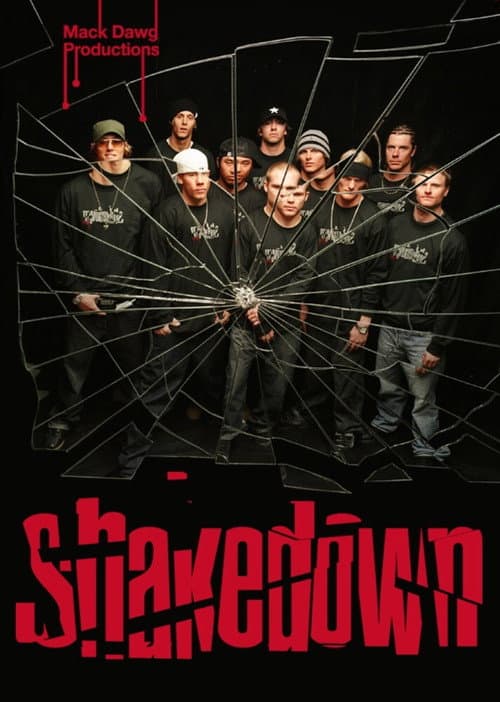 Affiche du film Shakedown (2003)