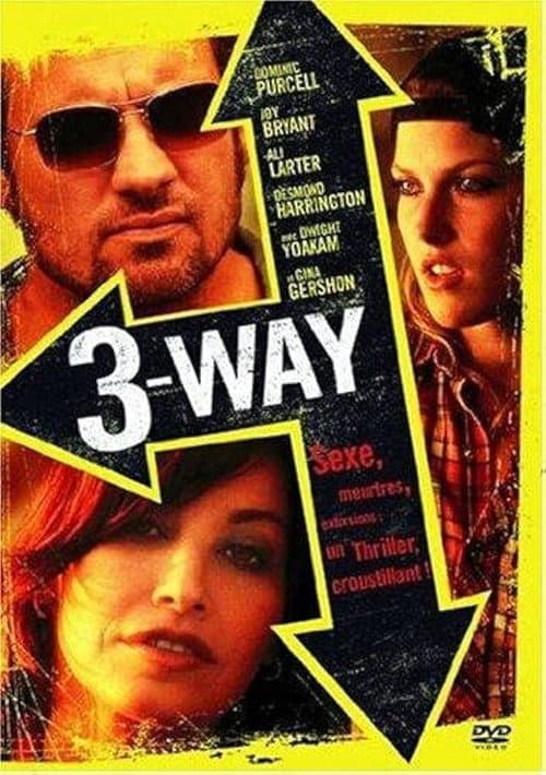 Affiche du film Three Way (2004)