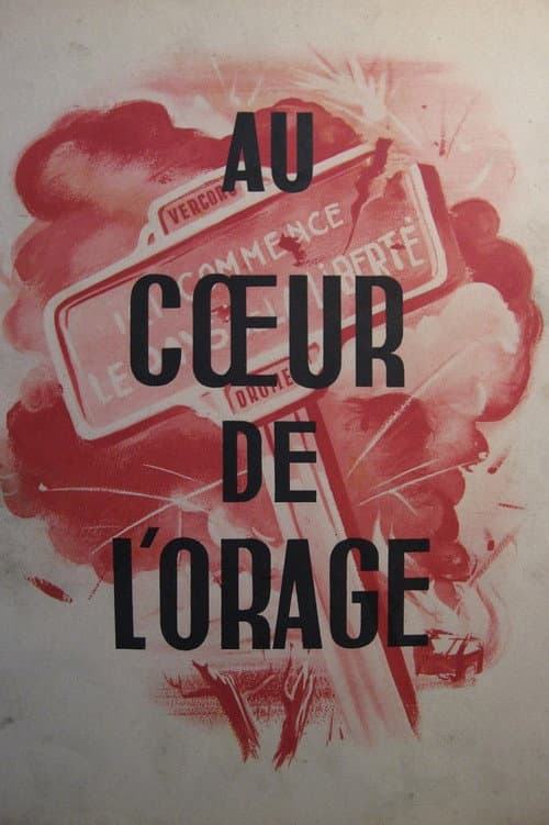 Affiche du film Au cœur de l'orage (1948)
