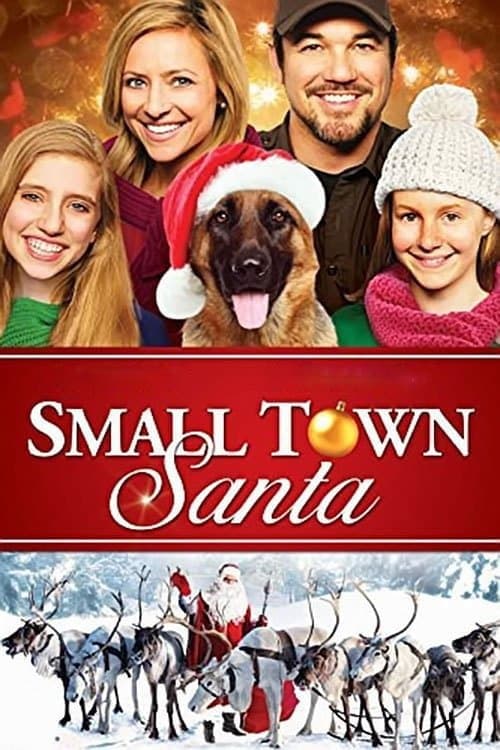 Affiche du film Small Town Santa (2014)