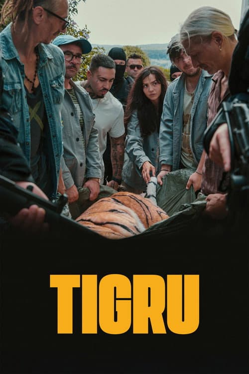 ملصق فيلم Tigru (2023)