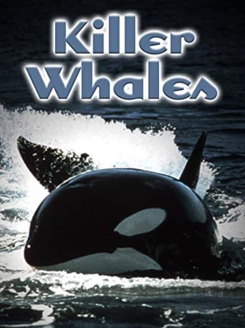 Killer Whales: Up Close and Personal (2000) movie poster