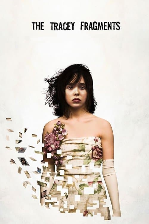Affiche du film The Tracey Fragments (2007)