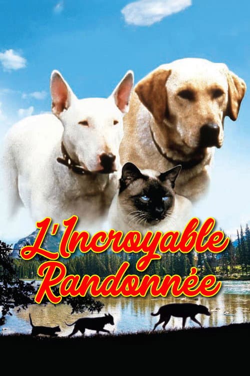 Affiche du film The Incredible Journey (1963)