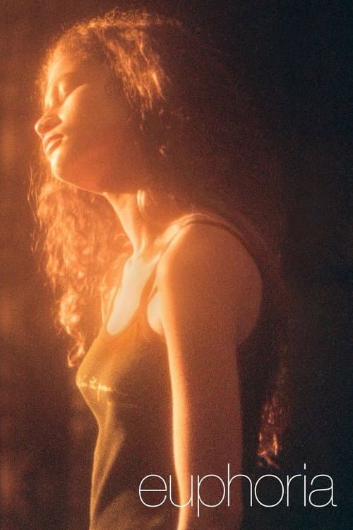Euphoria: A Look Back (2026) movie poster