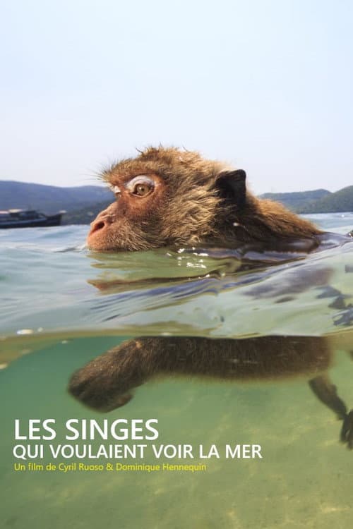 Affiche du film Les singes qui voulaient voir la mer (2020)