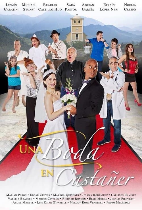Affiche du film Una boda en Castañer (2015)