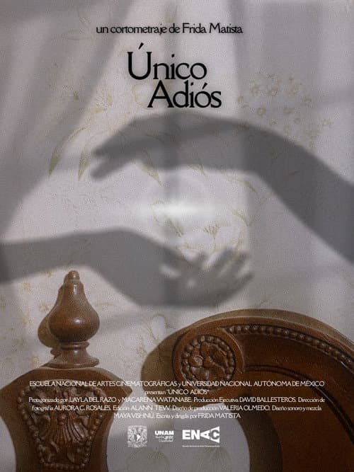 Único Adiós (2025) movie poster