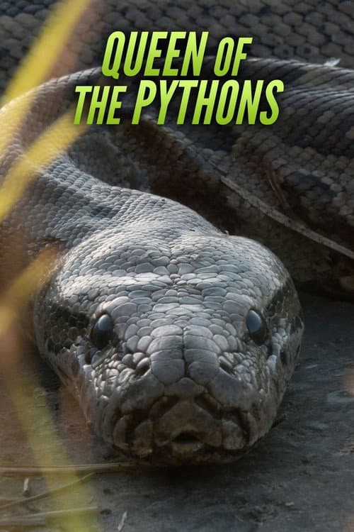 Queen of the Pythons (2019) movie poster