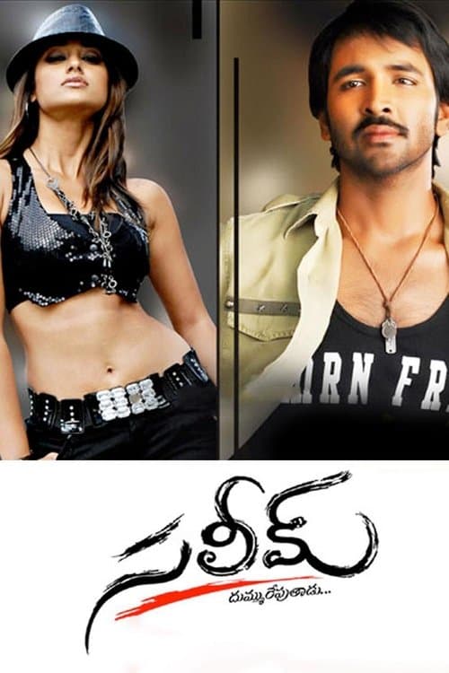 ملصق فيلم సలీమ్ (2009)