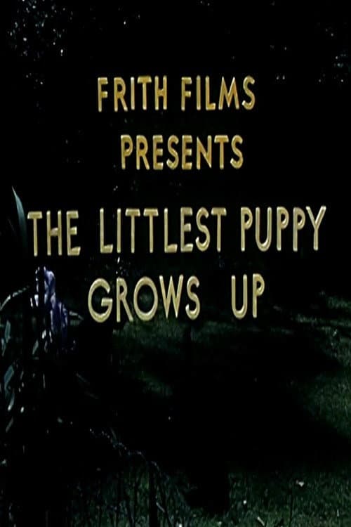 Affiche du film The Littlest Puppy Grows Up (1954)