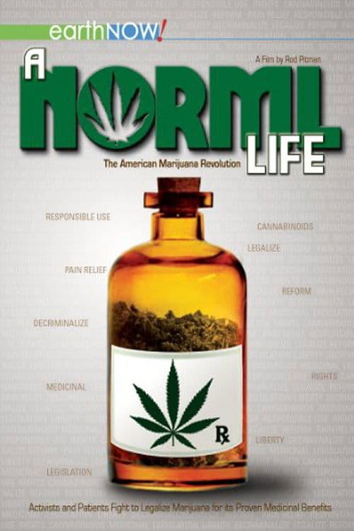 A Norml Life (2011) movie poster