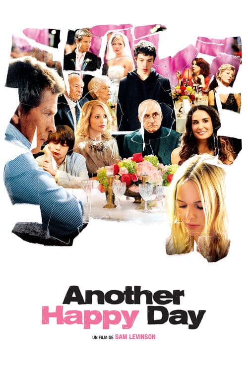 Affiche du film Another Happy Day (2011)