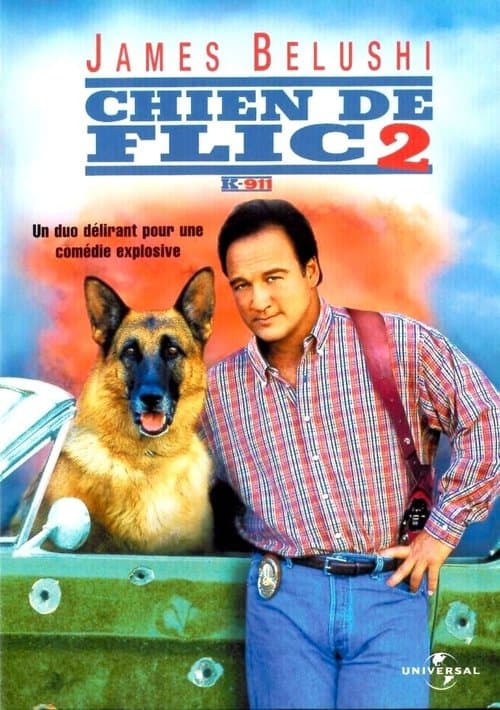 Affiche du film K-911 (2000)