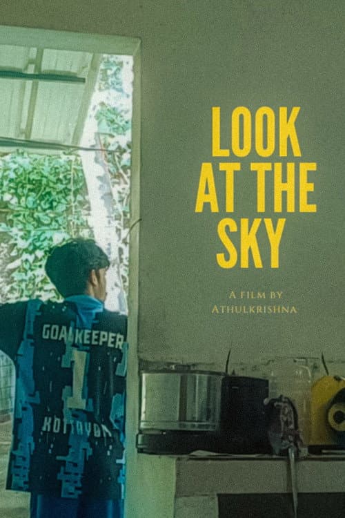 Look at the Sky (2025) movie poster