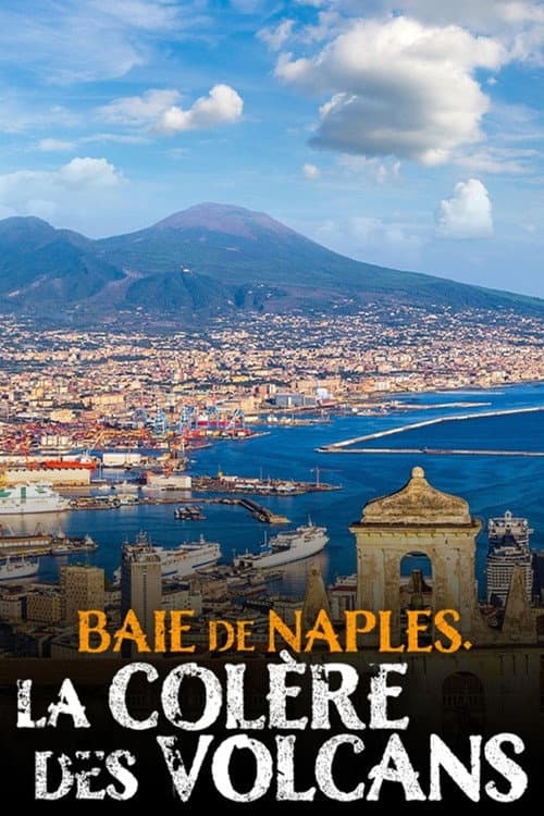 Affiche du film Baie de Naples, la colère des volcans (2020)