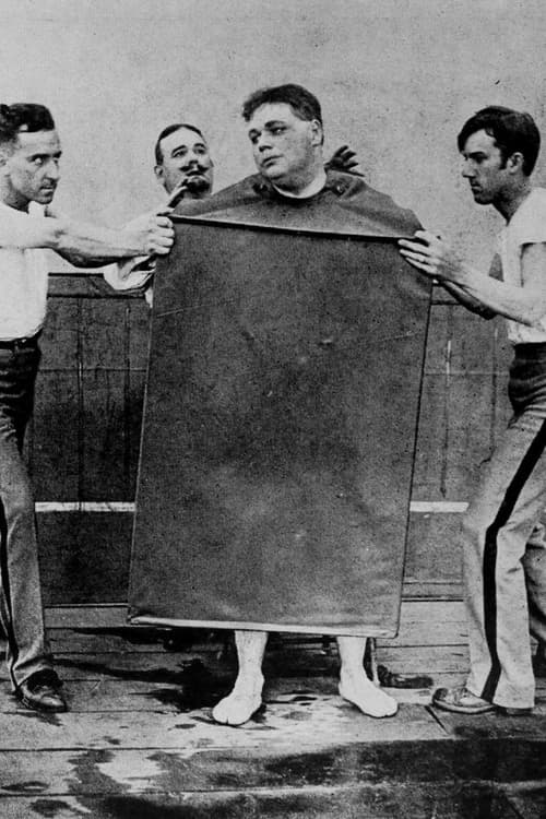 The Sanitarium (1910) movie poster