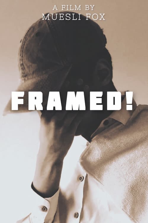 Framed! (2021) movie poster